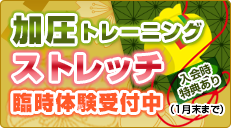 �ð��ȥ졼�˥󥰡����ȥ�å�����θ�������