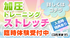 �ð��ȥ졼�˥󥰡����ȥ�å�����θ�������