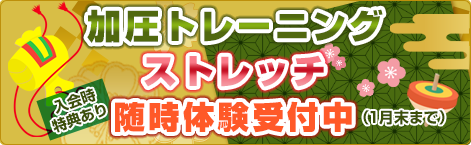 �ð��ȥ졼�˥󥰡����ȥ�å�����θ�������