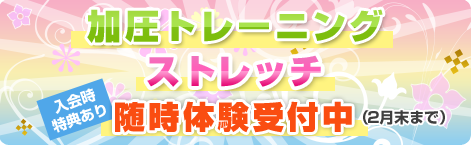 �ð��ȥ졼�˥󥰡����ȥ�å�����θ�������