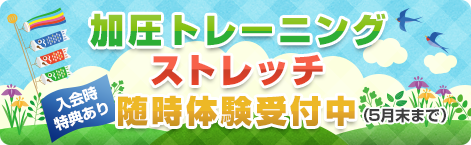 �ð��ȥ졼�˥󥰡����ȥ�å�����θ�������