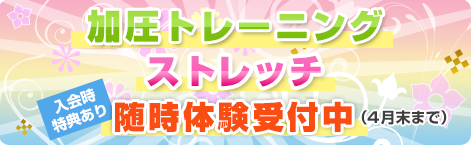 �ð��ȥ졼�˥󥰡����ȥ�å�����θ�������